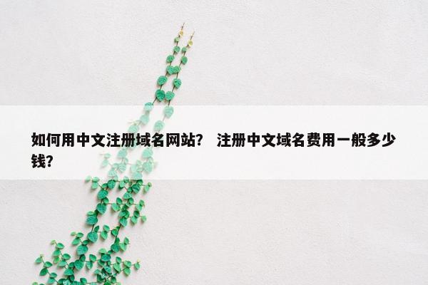 如何用中文注册域名网站？ 注册中文域名费用一般多少钱？