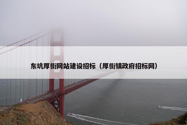 东坑厚街网站建设招标（厚街镇政府招标网）