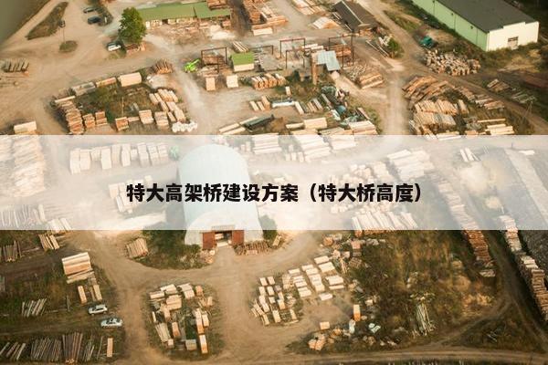 特大高架桥建设方案（特大桥高度）
