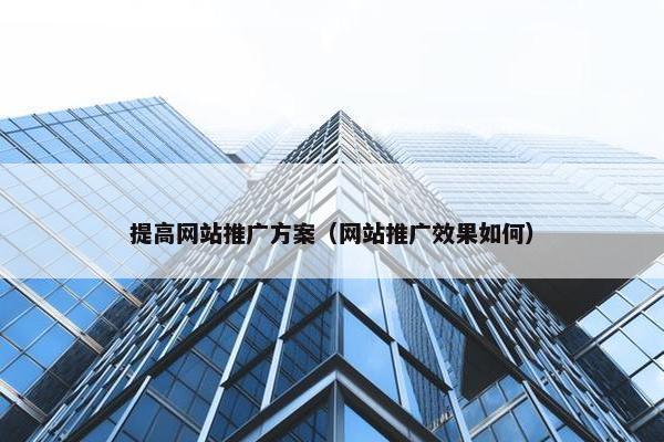 提高网站推广方案（网站推广效果如何）
