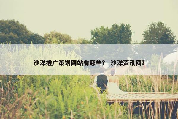 沙洋推广策划网站有哪些？ 沙洋资讯网？