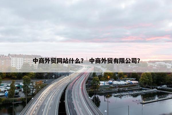 中商外贸网站什么？ 中商外贸有限公司？