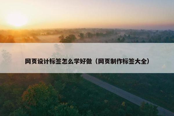 网页设计标签怎么学好做（网页制作标签大全）