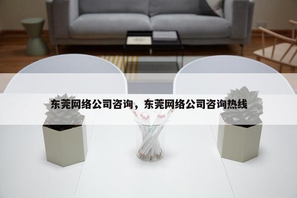 东莞网络公司咨询，东莞网络公司咨询热线