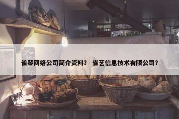 雀琴网络公司简介资料？ 雀艺信息技术有限公司？