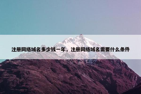 注册网络域名多少钱一年，注册网络域名需要什么条件