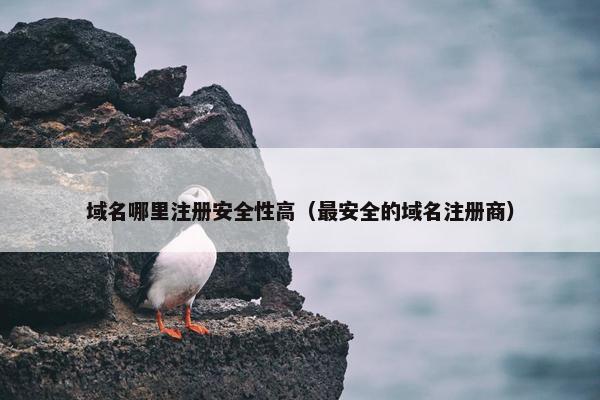 域名哪里注册安全性高（最安全的域名注册商）