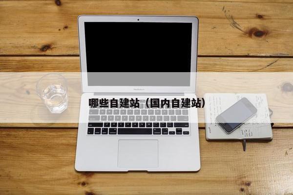 哪些自建站（国内自建站）