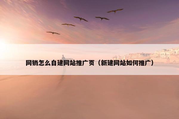 网销怎么自建网站推广页（新建网站如何推广）