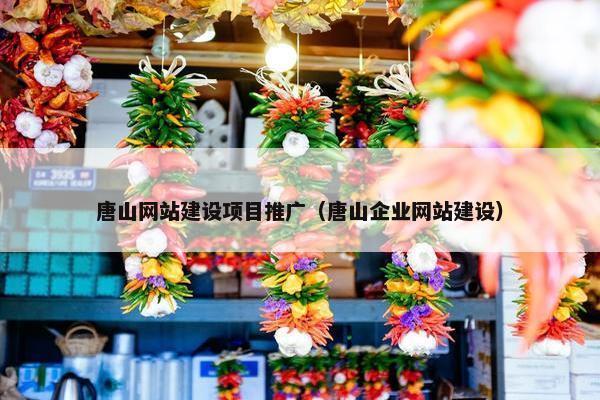 唐山网站建设项目推广（唐山企业网站建设）