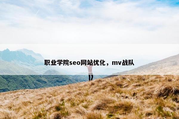 职业学院seo网站优化，mv战队