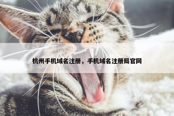 杭州手机域名注册，手机域名注册局官网