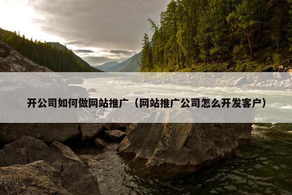 开公司如何做网站推广（网站推广公司怎么开发客户）