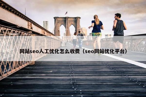 网站seo人工优化怎么收费（seo网站优化平台）