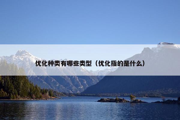 优化种类有哪些类型（优化指的是什么）