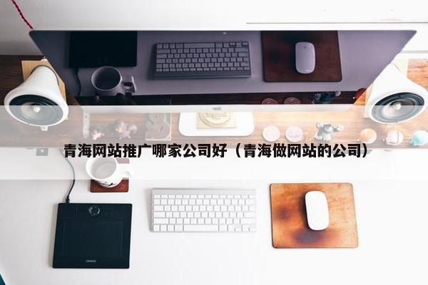青海网站推广哪家公司好（青海做网站的公司）