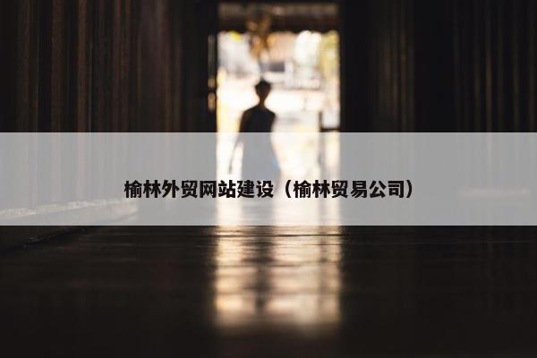 榆林外贸网站建设（榆林贸易公司）