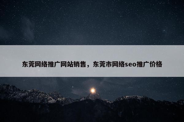 东莞网络推广网站销售，东莞市网络seo推广价格