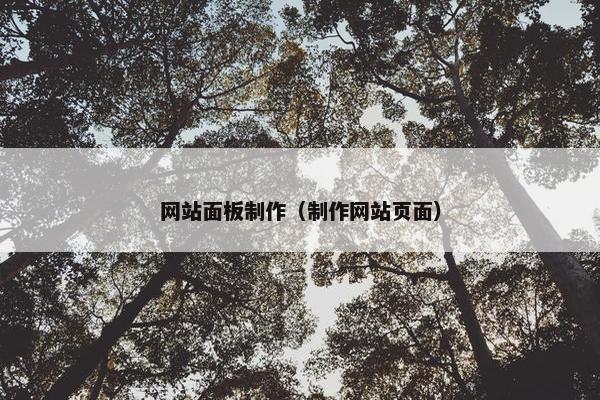 网站面板制作（制作网站页面）