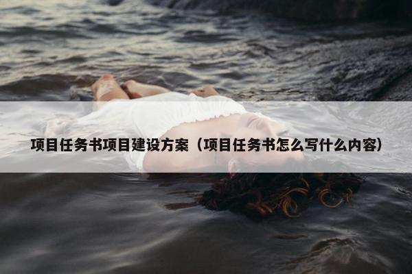 项目任务书项目建设方案（项目任务书怎么写什么内容）