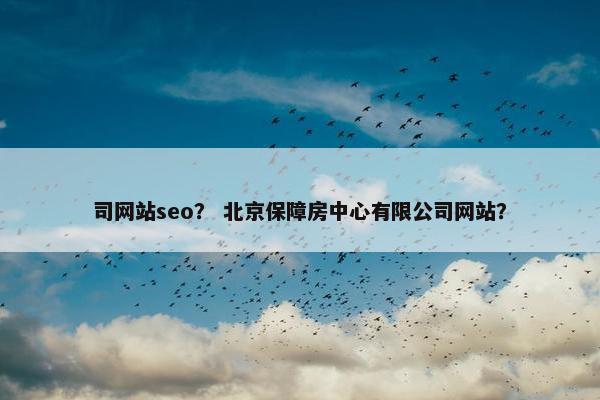 司网站seo？ 北京保障房中心有限公司网站？