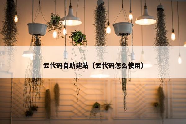 云代码自助建站（云代码怎么使用）