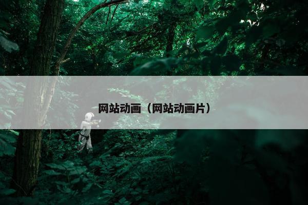 网站动画（网站动画片）