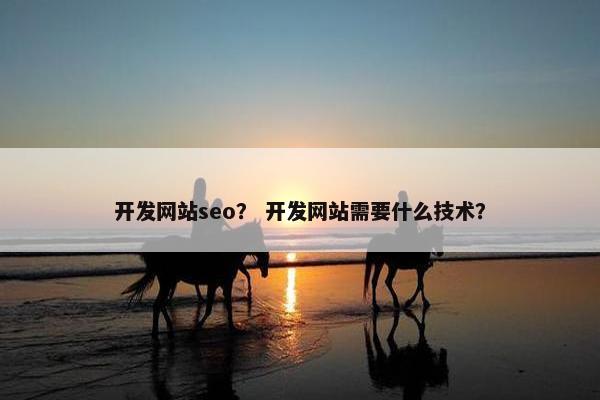 开发网站seo？ 开发网站需要什么技术？