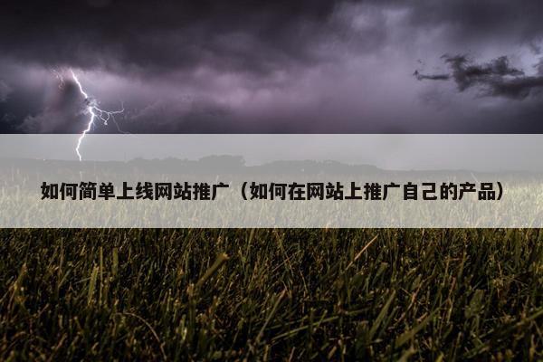 如何简单上线网站推广（如何在网站上推广自己的产品）
