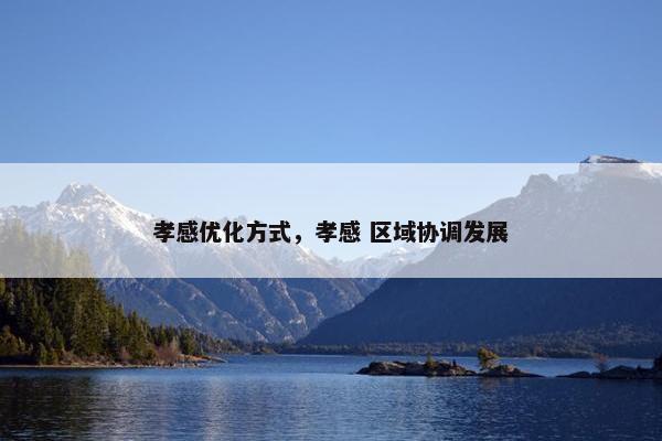 孝感优化方式，孝感 区域协调发展