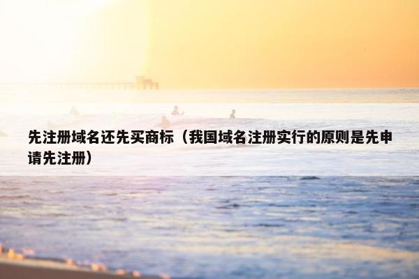 先注册域名还先买商标（我国域名注册实行的原则是先申请先注册）