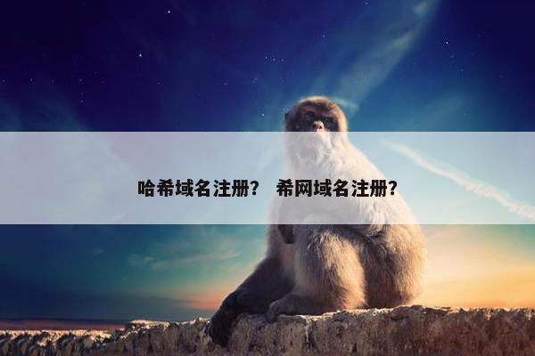 哈希域名注册？ 希网域名注册？