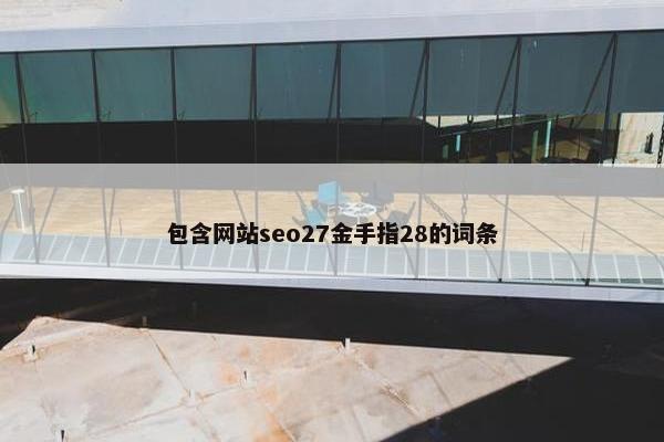 包含网站seo27金手指28的词条