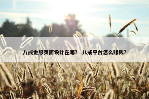八戒金服页面设计在哪？ 八戒平台怎么赚钱？