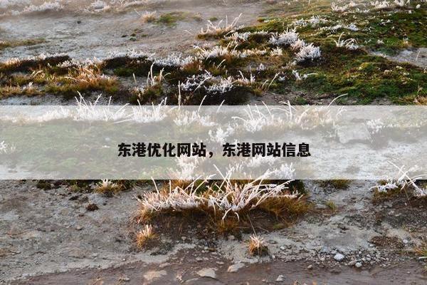 东港优化网站，东港网站信息