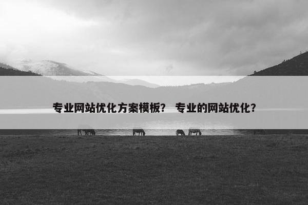 专业网站优化方案模板？ 专业的网站优化？