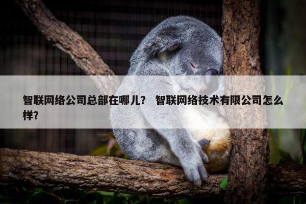 智联网络公司总部在哪儿？ 智联网络技术有限公司怎么样？