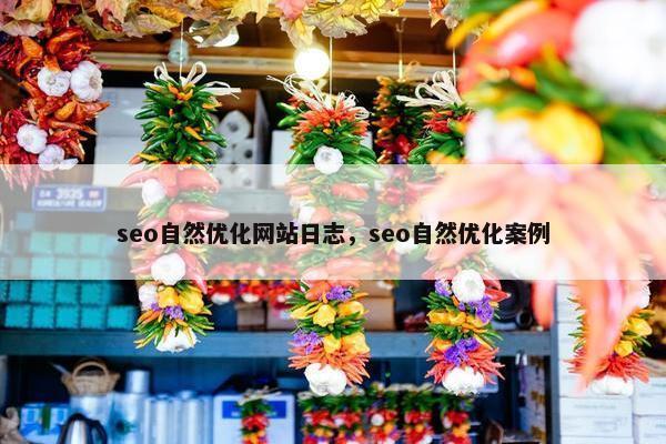 seo自然优化网站日志，seo自然优化案例