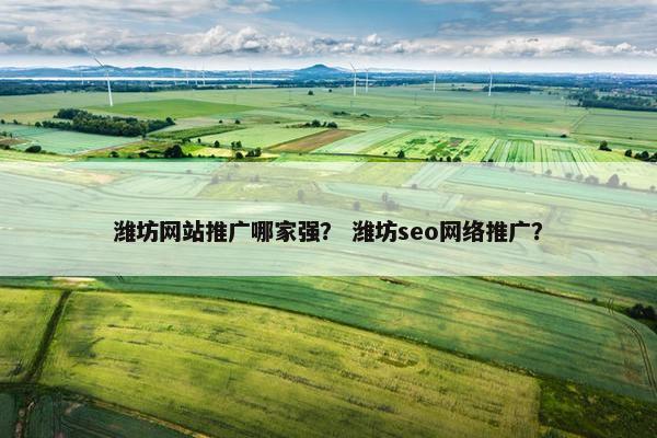 潍坊网站推广哪家强？ 潍坊seo网络推广？