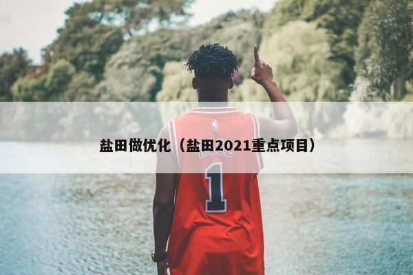 盐田做优化（盐田2021重点项目）