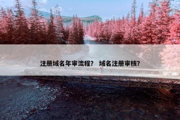 注册域名年审流程？ 域名注册审核？