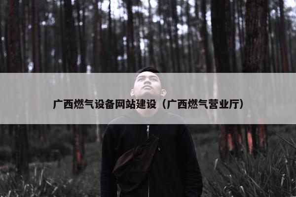 广西燃气设备网站建设（广西燃气营业厅）