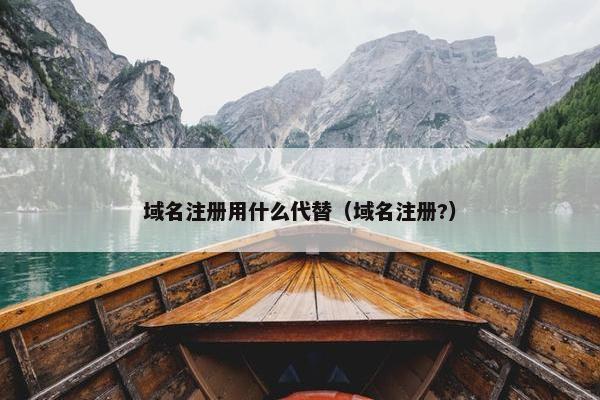 域名注册用什么代替（域名注册?）