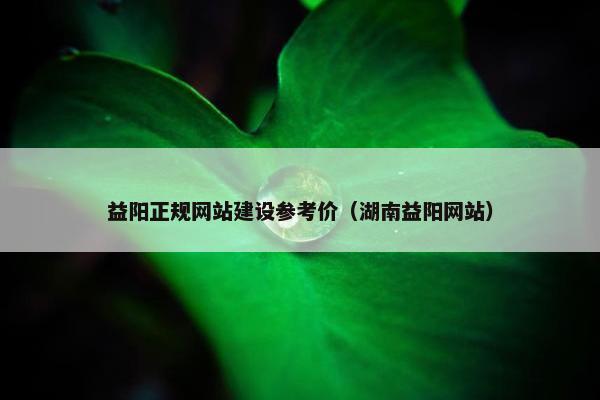 益阳正规网站建设参考价（湖南益阳网站）