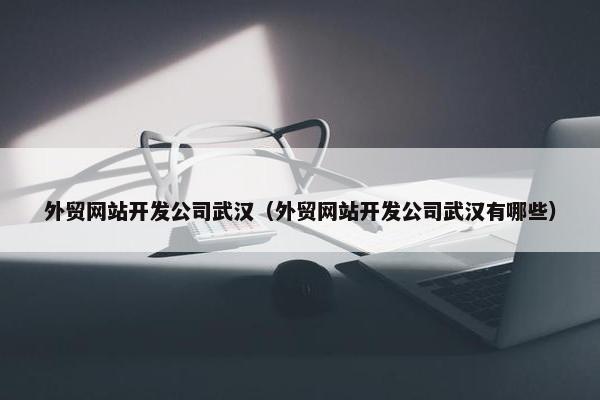 外贸网站开发公司武汉（外贸网站开发公司武汉有哪些）
