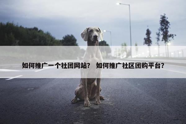 如何推广一个社团网站？ 如何推广社区团购平台？