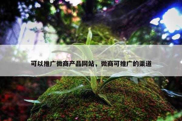 可以推广微商产品网站，微商可推广的渠道