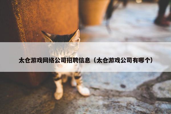 太仓游戏网络公司招聘信息（太仓游戏公司有哪个）