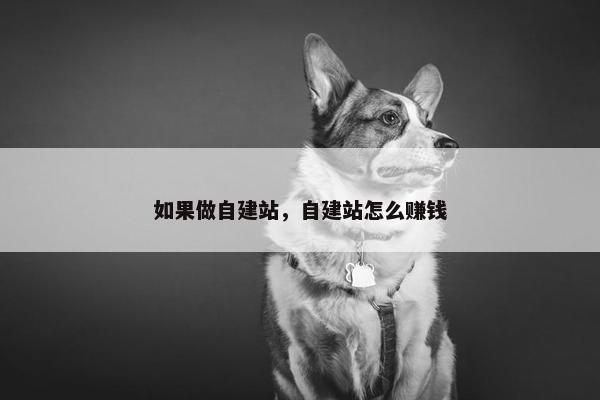 如果做自建站，自建站怎么赚钱