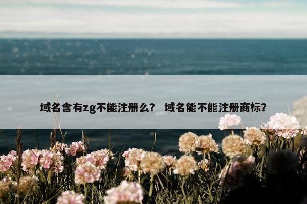 域名含有zg不能注册么？ 域名能不能注册商标？